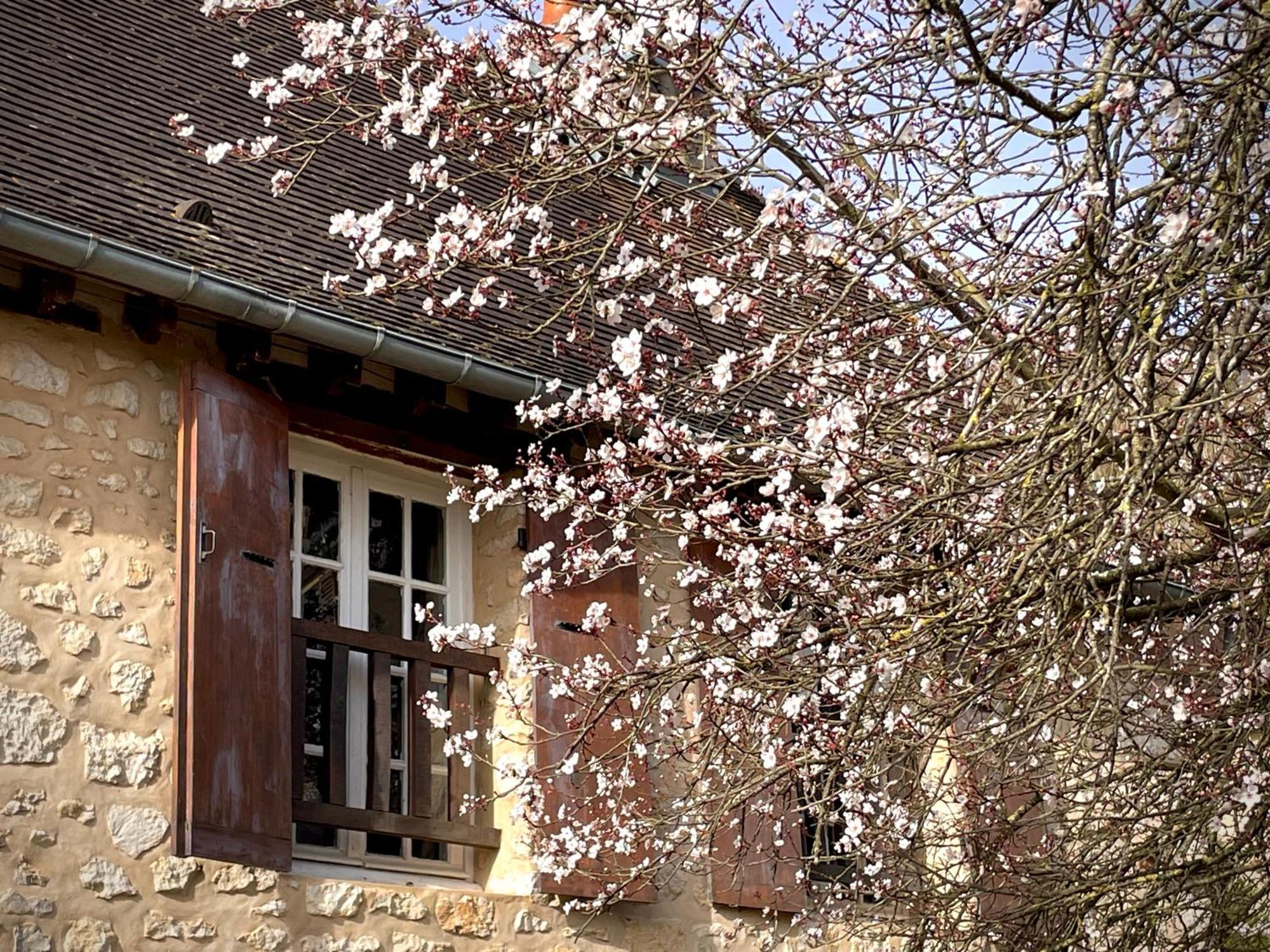 Evergreen Guesthouse Вернон Экстерьер фото